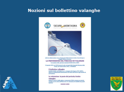 Bollettino - pdf 6MB