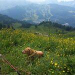 20160708 151304 scaled