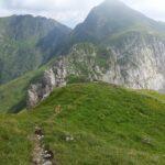 20160710 103757 scaled